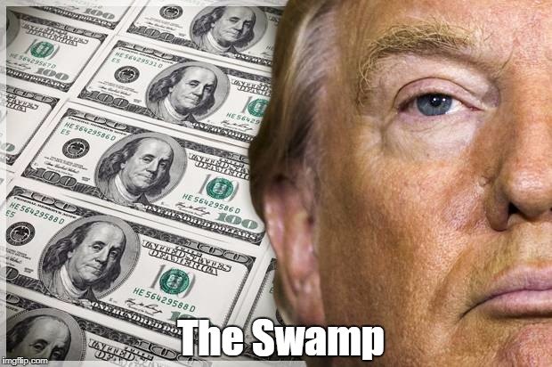 "The Swamp" | The Swamp | image tagged in trump is the swamp,devious donald,deplorable donald,despicable donald,dishonorable donald,dishonest donald | made w/ Imgflip meme maker