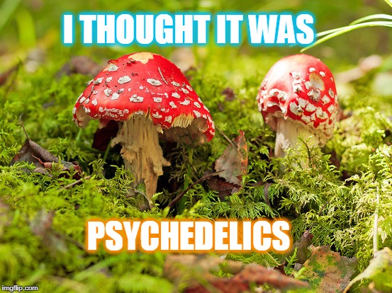 PSYCHEDELICS I THOUGHT IT WAS | made w/ Imgflip meme maker