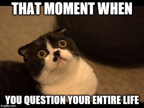Confused Cats Cake Day | THAT MOMENT WHEN; YOU QUESTION YOUR ENTIRE LIFE | image tagged in confused cats cake day | made w/ Imgflip meme maker