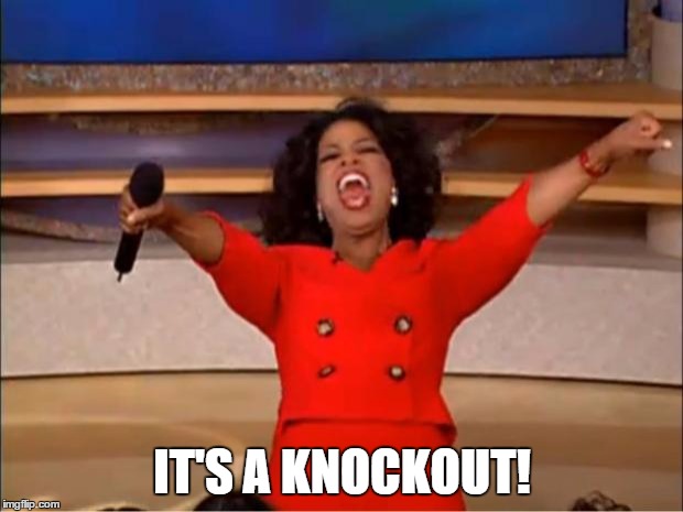 Oprah You Get A Meme | IT'S A KNOCKOUT! | image tagged in memes,oprah you get a | made w/ Imgflip meme maker