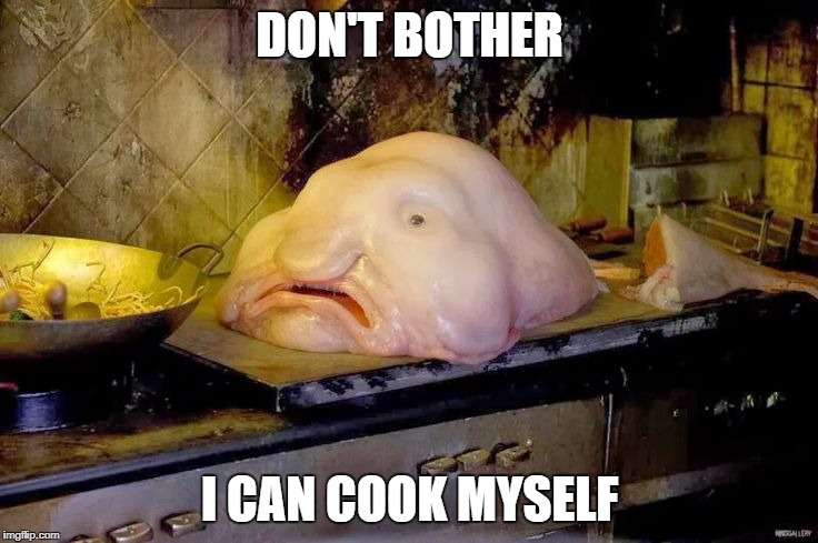 blobfish | DON'T BOTHER; I CAN COOK MYSELF | image tagged in blobfish | made w/ Imgflip meme maker