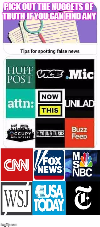 Pro-tip: be skeptical and verify from multiple and independent sources | PICK OUT THE NUGGETS OF TRUTH IF YOU CAN FIND ANY | image tagged in fake news,fox news,huffington post,cnn,buzzfeed | made w/ Imgflip meme maker
