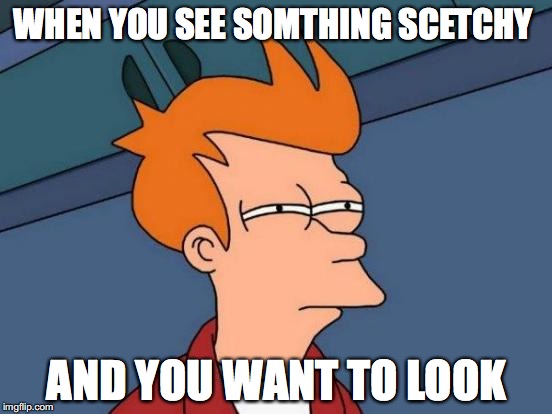 Futurama Fry Meme | WHEN YOU SEE SOMTHING SCETCHY; AND YOU WANT TO LOOK | image tagged in memes,futurama fry | made w/ Imgflip meme maker