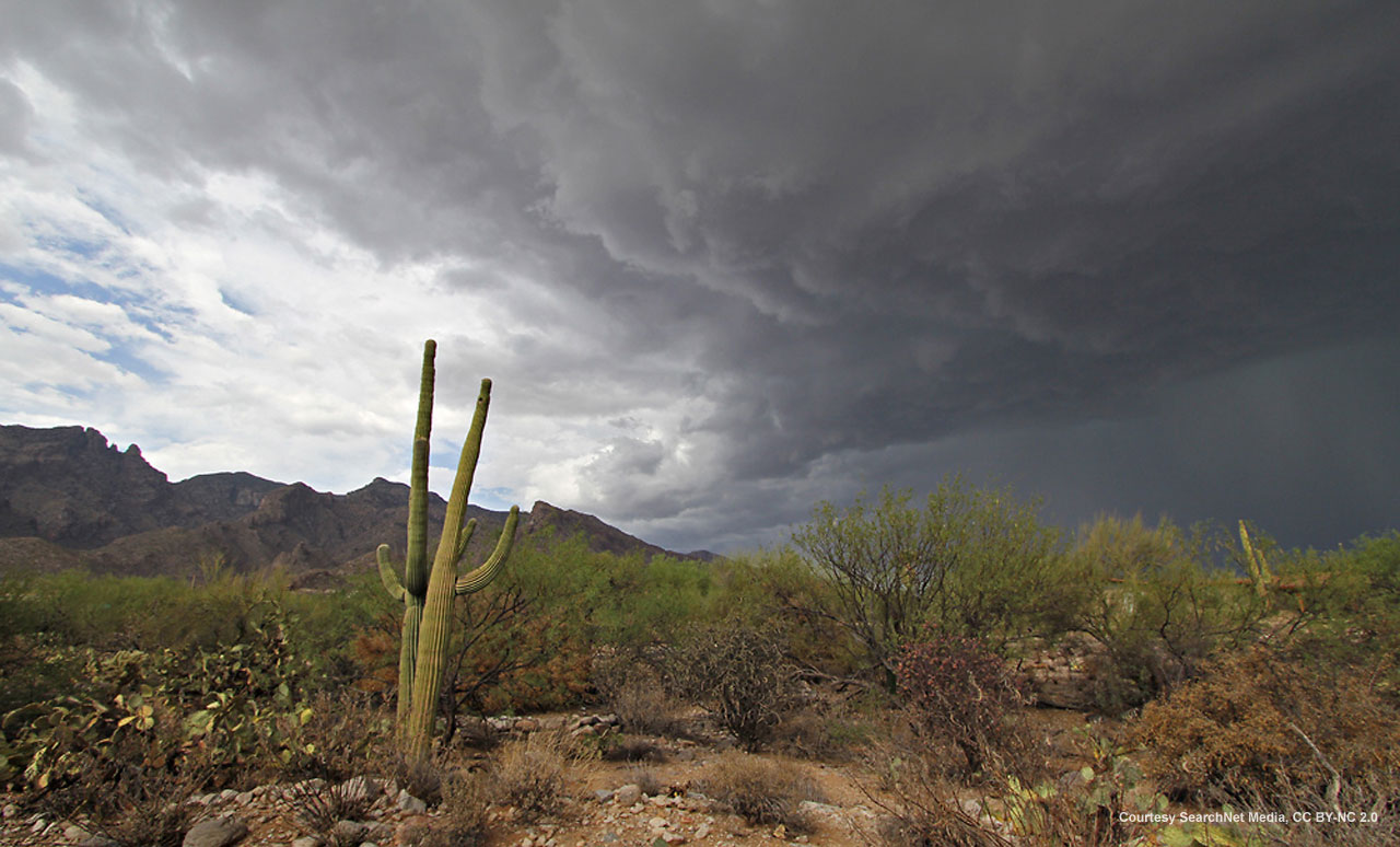 High Quality monsoon Blank Meme Template