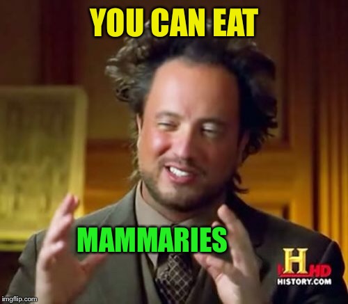 Ancient Aliens Meme | YOU CAN EAT MAMMARIES | image tagged in memes,ancient aliens | made w/ Imgflip meme maker