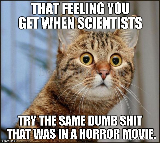 Bad Sci-fi | THAT FEELING YOU GET WHEN SCIENTISTS; TRY THE SAME DUMB SHIT THAT WAS IN A HORROR MOVIE. | image tagged in robopocalypse,kill all humans | made w/ Imgflip meme maker