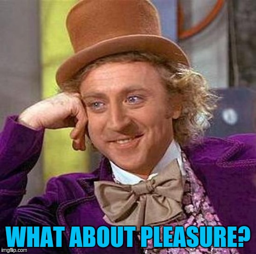 Creepy Condescending Wonka Meme | WHAT ABOUT PLEASURE? | image tagged in memes,creepy condescending wonka | made w/ Imgflip meme maker