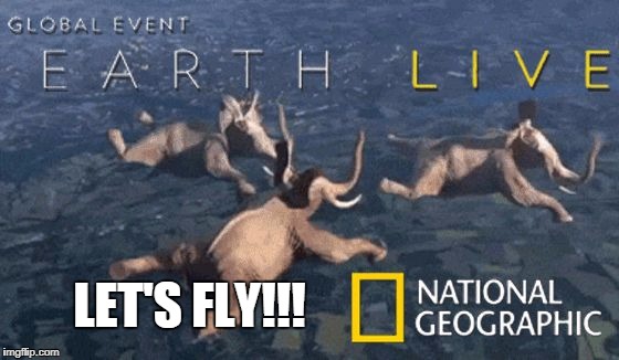 LET'S FLY!!! | image tagged in elephant,natgeo | made w/ Imgflip meme maker