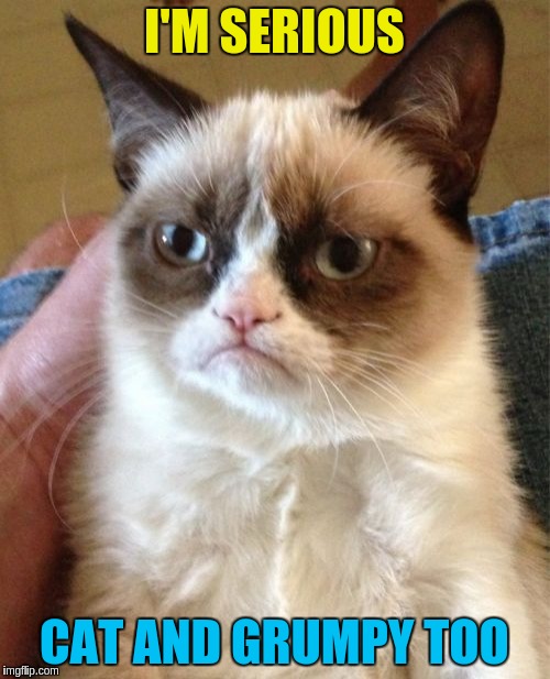 Grumpy Cat Meme | I'M SERIOUS CAT AND GRUMPY TOO | image tagged in memes,grumpy cat | made w/ Imgflip meme maker