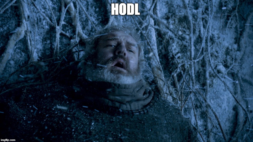 hold the door | HODL | image tagged in hold the door | made w/ Imgflip meme maker