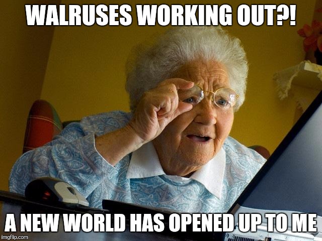 Grandma Finds The Internet Meme | WALRUSES WORKING OUT?! A NEW WORLD HAS OPENED UP TO ME | image tagged in memes,grandma finds the internet | made w/ Imgflip meme maker