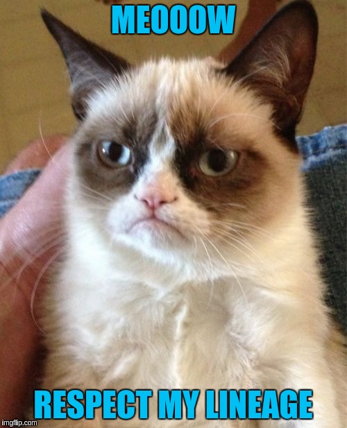 Grumpy Cat Meme | MEOOOW RESPECT MY LINEAGE | image tagged in memes,grumpy cat | made w/ Imgflip meme maker