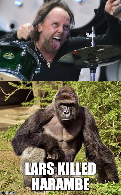 LARS KILLED HARAMBE | image tagged in memes | made w/ Imgflip meme maker