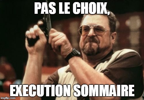 Am I The Only One Around Here Meme | PAS LE CHOIX, EXECUTION SOMMAIRE | image tagged in memes,am i the only one around here | made w/ Imgflip meme maker