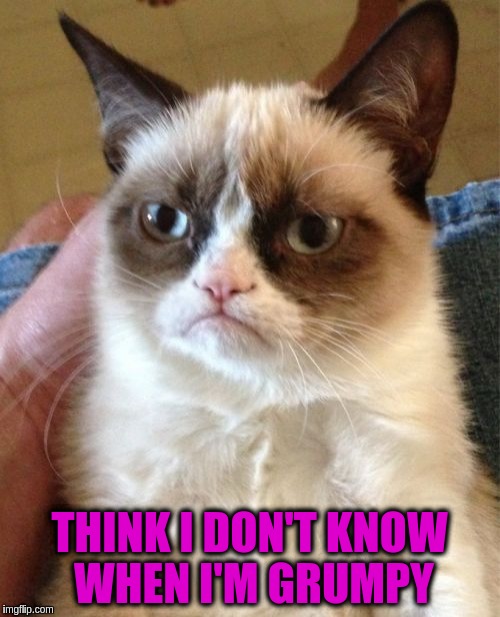 Grumpy Cat Meme | THINK I DON'T KNOW WHEN I'M GRUMPY | image tagged in memes,grumpy cat | made w/ Imgflip meme maker