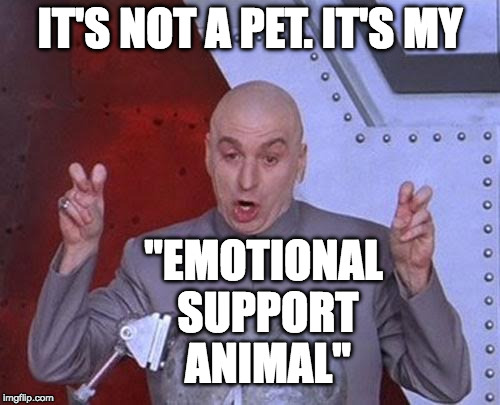 It's my emotional support animal | IT'S NOT A PET. IT'S MY; "EMOTIONAL SUPPORT ANIMAL" | image tagged in dr evil laser,pets,dogs | made w/ Imgflip meme maker