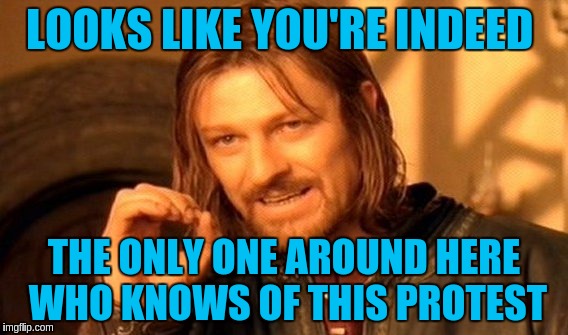 One Does Not Simply Meme | LOOKS LIKE YOU'RE INDEED THE ONLY ONE AROUND HERE WHO KNOWS OF THIS PROTEST | image tagged in memes,one does not simply | made w/ Imgflip meme maker