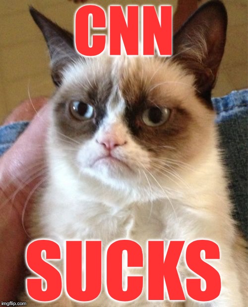 Grumpy Cat Meme | CNN; SUCKS | image tagged in memes,grumpy cat | made w/ Imgflip meme maker
