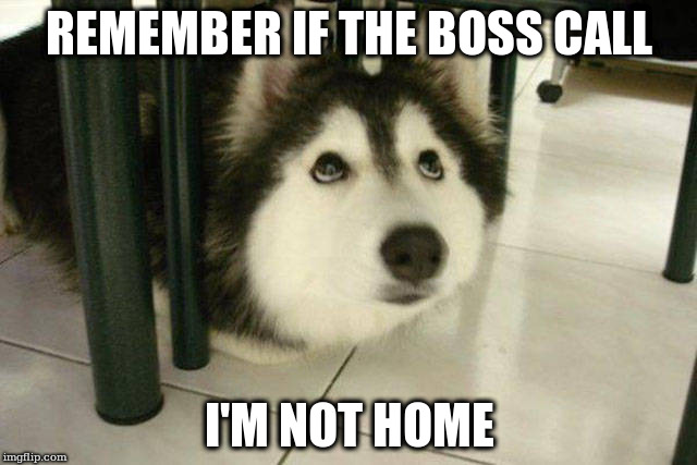 REMEMBER IF THE BOSS CALL; I'M NOT HOME | made w/ Imgflip meme maker