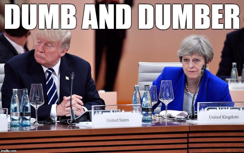 Donald Trump & Theresa May | DUMB AND DUMBER | image tagged in donald trump  theresa may | made w/ Imgflip meme maker