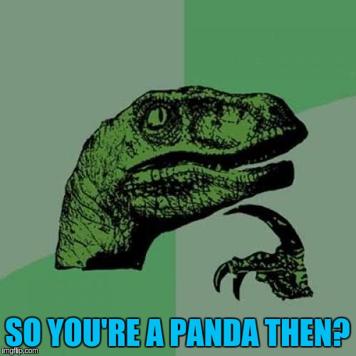 Philosoraptor Meme | SO YOU'RE A PANDA THEN? | image tagged in memes,philosoraptor | made w/ Imgflip meme maker