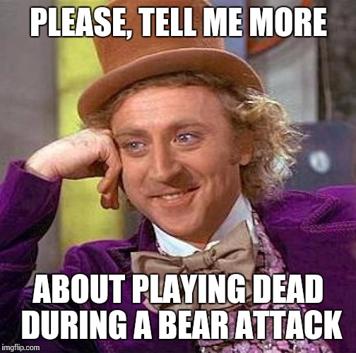 Creepy Condescending Wonka Meme | PLEASE, TELL ME MORE ABOUT PLAYING DEAD DURING A BEAR ATTACK | image tagged in memes,creepy condescending wonka | made w/ Imgflip meme maker