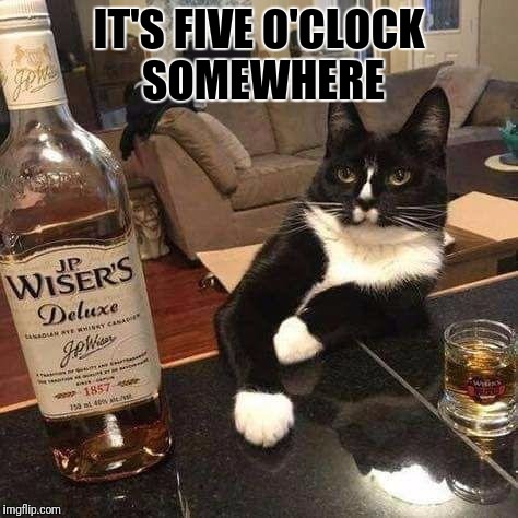 Monday plans... | IT'S FIVE O'CLOCK SOMEWHERE | image tagged in memes,cats,funny,canadian whisky,you set 'em up and i'll knock 'em back lloyd one by one | made w/ Imgflip meme maker