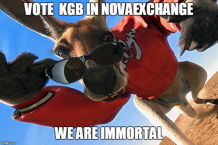 Kangaroo Sunglasses | VOTE  KGB IN NOVAEXCHANGE; WE ARE IMMORTAL | image tagged in kangaroo sunglasses | made w/ Imgflip meme maker
