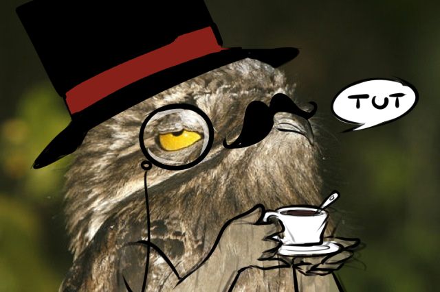 High Quality Sir Potoo is not amused Blank Meme Template