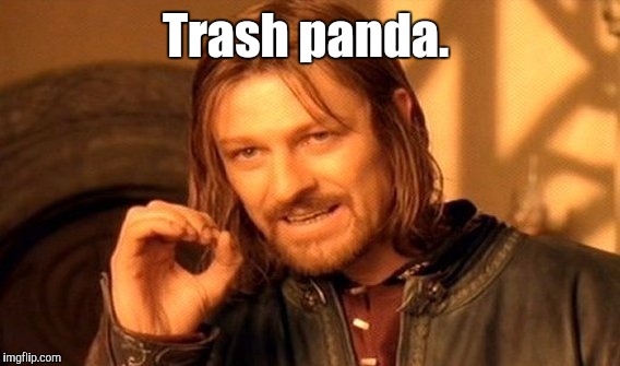 One Does Not Simply Meme | Trash panda. | image tagged in memes,one does not simply | made w/ Imgflip meme maker