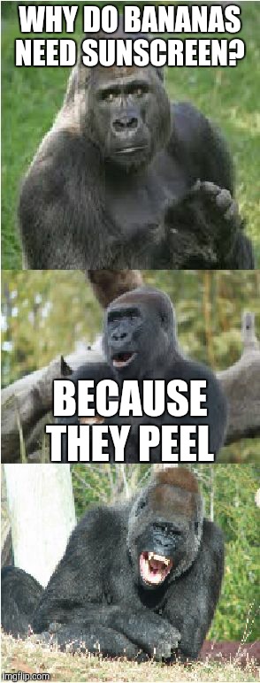 Bad Pun Gorilla | WHY DO BANANAS NEED SUNSCREEN? BECAUSE THEY PEEL | image tagged in bad pun gorilla | made w/ Imgflip meme maker
