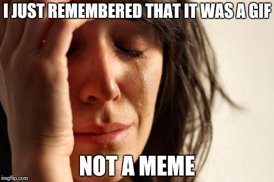 First World Problems Meme | I JUST REMEMBERED THAT IT WAS A GIF NOT A MEME | image tagged in memes,first world problems | made w/ Imgflip meme maker