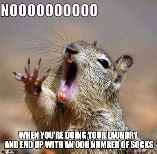 noooooooooooooooooooooooo | WHEN YOU'RE DOING YOUR LAUNDRY AND END UP WITH AN ODD NUMBER OF SOCKS | image tagged in noooooooooooooooooooooooo | made w/ Imgflip meme maker