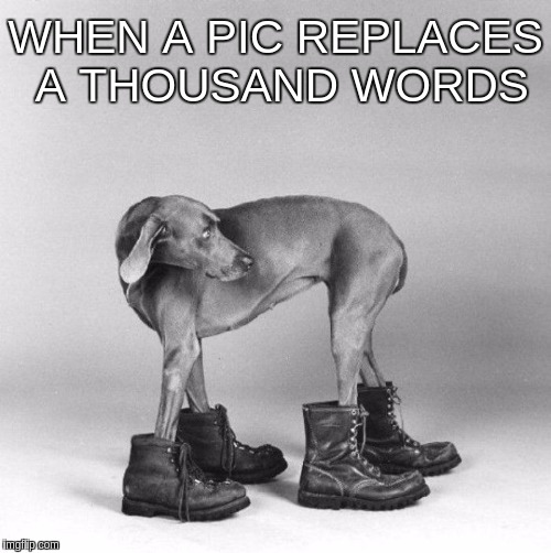 Some dogs just don't get it. | WHEN A PIC REPLACES A THOUSAND WORDS | image tagged in memes,funny,boots,dogs,reverse | made w/ Imgflip meme maker