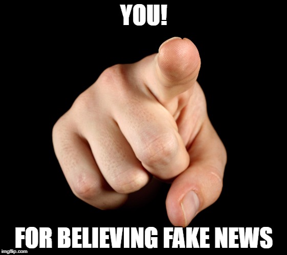 Finger pointing | YOU! FOR BELIEVING FAKE NEWS | image tagged in finger pointing | made w/ Imgflip meme maker