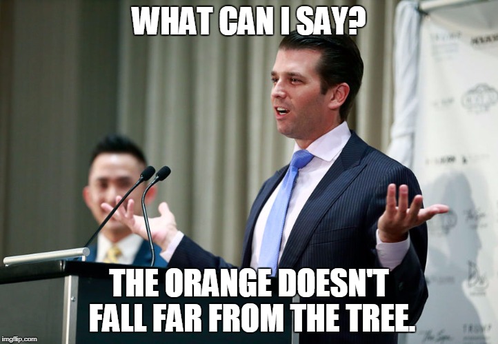 Don Jr. Lies too! |  WHAT CAN I SAY? THE ORANGE DOESN'T FALL FAR FROM THE TREE. | image tagged in don jr,lies,russia,orange | made w/ Imgflip meme maker