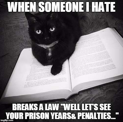 WHEN SOMEONE I HATE; BREAKS A LAW "WELL LET'S SEE YOUR PRISON YEARS& PENALTIES..." | image tagged in lawbook kitty | made w/ Imgflip meme maker