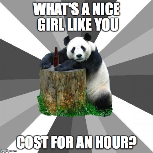 Pickup Line Panda |  WHAT'S A NICE GIRL LIKE YOU; COST FOR AN HOUR? | image tagged in memes,pickup line panda | made w/ Imgflip meme maker