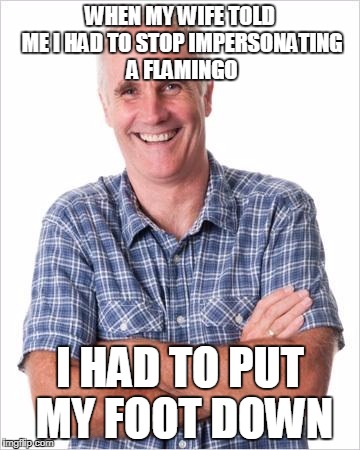 Dad joke | WHEN MY WIFE TOLD ME I HAD TO STOP IMPERSONATING A FLAMINGO; I HAD TO PUT MY FOOT DOWN | image tagged in dad joke | made w/ Imgflip meme maker