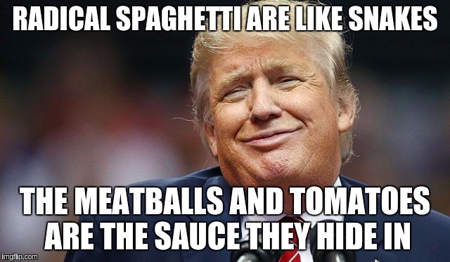 Trump Oopsie | RADICAL SPAGHETTI ARE LIKE SNAKES THE MEATBALLS AND TOMATOES ARE THE SAUCE THEY HIDE IN | image tagged in trump oopsie | made w/ Imgflip meme maker