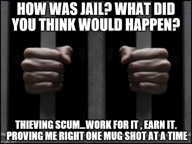 jail | HOW WAS JAIL? WHAT DID YOU THINK WOULD HAPPEN? THIEVING SCUM...WORK FOR IT , EARN IT. PROVING ME RIGHT ONE MUG SHOT AT A TIME | image tagged in jail | made w/ Imgflip meme maker