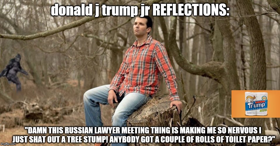 donald j trump jr: REFLECTIONS | donald j trump jr REFLECTIONS:; "DAMN THIS RUSSIAN LAWYER MEETING THING IS MAKING ME SO NERVOUS I JUST SHAT OUT A TREE STUMP! ANYBODY GOT A COUPLE OF ROLLS OF TOILET PAPER?" | image tagged in trump jr in trouble,mueller time,mueller is coming,incremental truth telling,trump jr russian collusion,trumpjr can'tliestraight | made w/ Imgflip meme maker