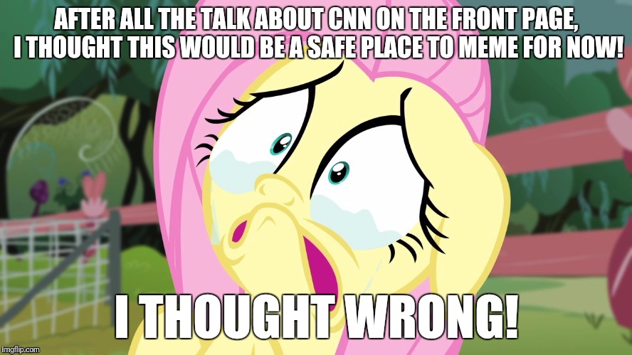 Crying Fluttershy | AFTER ALL THE TALK ABOUT CNN ON THE FRONT PAGE, I THOUGHT THIS WOULD BE A SAFE PLACE TO MEME FOR NOW! I THOUGHT WRONG! | image tagged in crying fluttershy | made w/ Imgflip meme maker