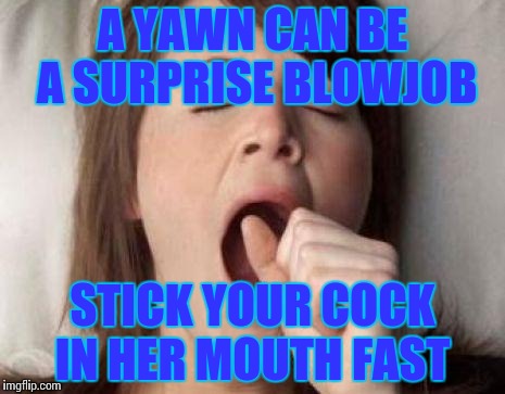 boner vs yawning | A YAWN CAN BE A SURPRISE BLOWJOB; STICK YOUR COCK IN HER MOUTH FAST | image tagged in boner vs yawning | made w/ Imgflip meme maker