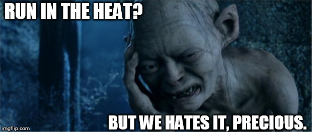 Gollum | RUN IN THE HEAT? BUT WE HATES IT, PRECIOUS. | image tagged in gollum | made w/ Imgflip meme maker