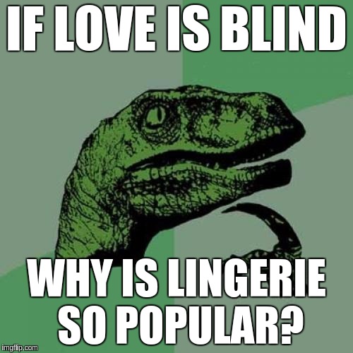 If love is blind… | IF LOVE IS BLIND; WHY IS LINGERIE SO POPULAR? | image tagged in memes,philosoraptor,funny,lingerie,love | made w/ Imgflip meme maker