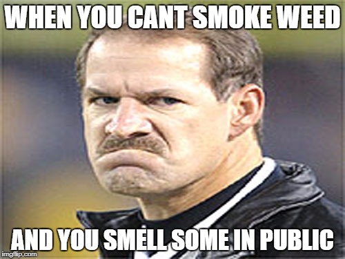 Frowny Cowher | WHEN YOU CANT SMOKE WEED; AND YOU SMELL SOME IN PUBLIC | image tagged in frowny cowher,weed,smoke weed everyday | made w/ Imgflip meme maker