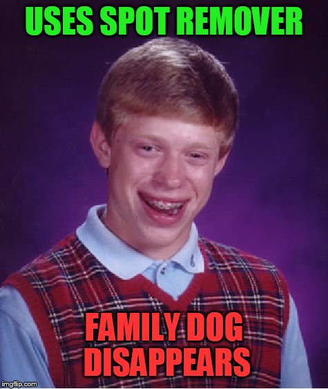 Bad Luck Brian Meme | USES SPOT REMOVER; FAMILY DOG DISAPPEARS | image tagged in memes,bad luck brian | made w/ Imgflip meme maker