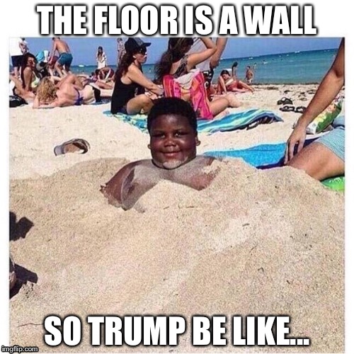 The floor is  | THE FLOOR IS A WALL; SO TRUMP BE LIKE... | image tagged in the floor is | made w/ Imgflip meme maker