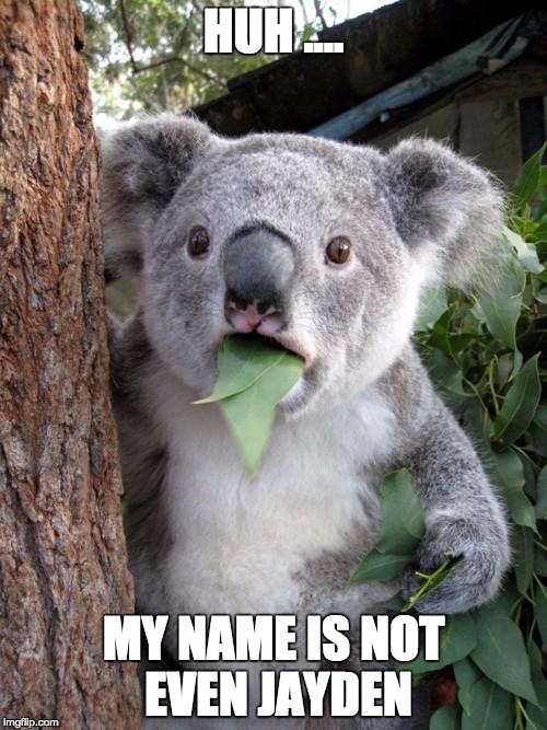 Surprised Koala | HUH .... MY NAME IS NOT EVEN JAYDEN | image tagged in memes,surprised koala | made w/ Imgflip meme maker